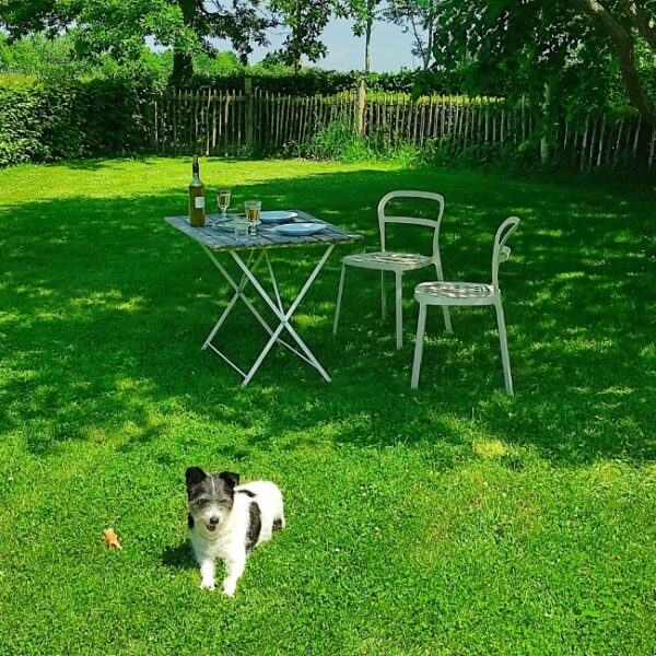 Gîte dogfriendly dans les Côtes-d'Armor, vacances avec chien en bretagne - Into The Prairie, gîtes avec jardins clos privés à Plélo.