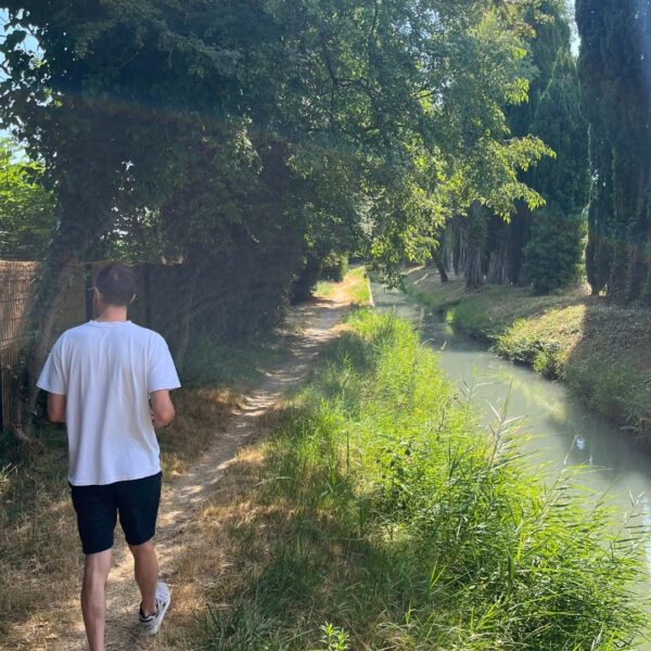 Sentier de promenade autour du Camping Pégomas à Saint-Rémy-de-Provence, dans les Alpilles, au cœur des Bouches-du-Rhône