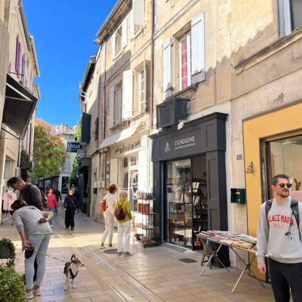 Camping près du centre historique de Saint-Rémy-de-Provence - Camping Pégomas, dans les Alpilles, au cœur des Bouches-du-Rhône