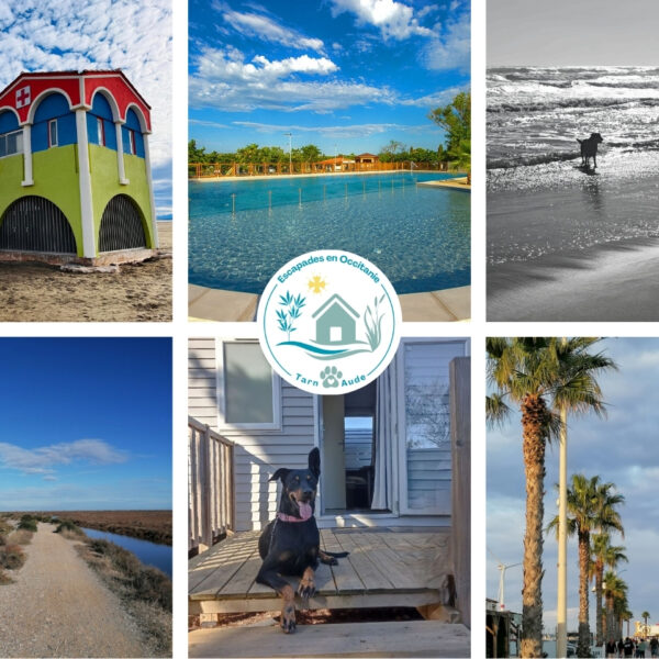 Mobil-home Entre Terre et Roseau, vacances avec chien dans l'Aude, à Port la-Nouvelle