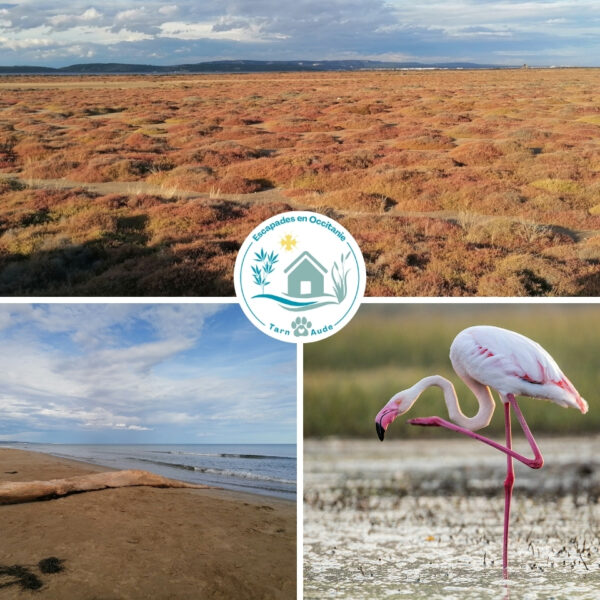 Les paysages à voir autour de Port-la-nouvelle - Mobil-home Entre Mer et Roseaux, hébergement dogfriendly, à Port-la-Nouvelle, dans l'Aude