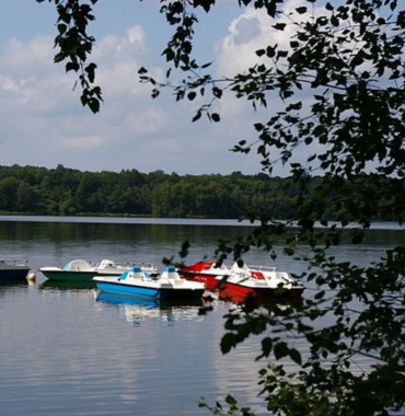 Lac du Gué de Selle, à Mézangers en Mayenne, où les chiens sont les bienvenus