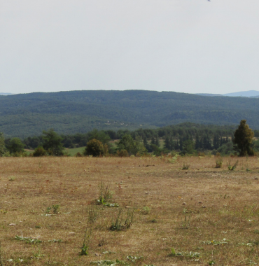 Vallée du Lingas, dans les Cévennes où es chiens sont acceptés