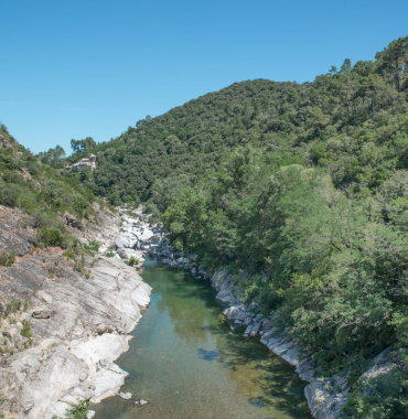 Gorges du Tarn où les chiens sont les bienvenus, dans les Cévennes