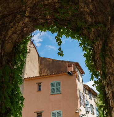 Seillans où les chiens sont les bienvenus, dans le Var, en Provence-Alpes-Côte d'Azur