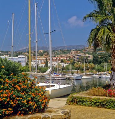 Le Lavandou où les chiens sont les bienvenus, dans le Var, en Provence-Alpes-Côte d'Azur