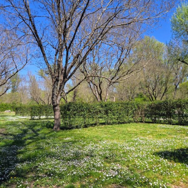 Un environnement calme en pleine nature pour le camping Le Coin Charmant 3* à Chauzon