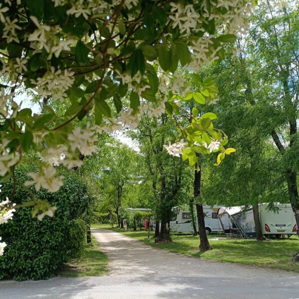 Camping nature La Digue 4* - Ruoms - Ardèche (07)