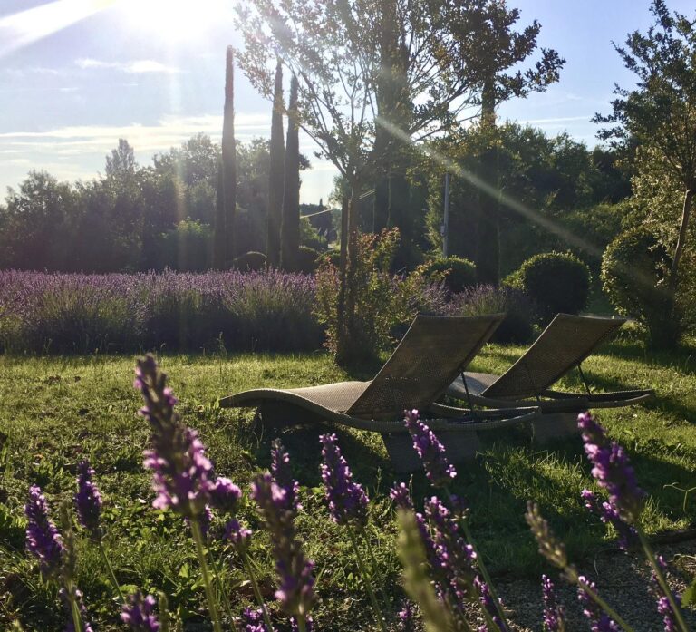 Bain de soleil au Domaine Le Bois des Dames en Drôme provençale