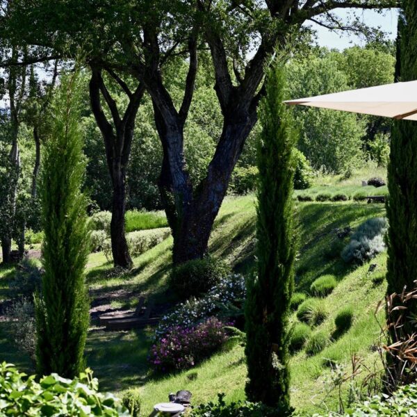 Domaine du Le Bois des Dames en Drôme provençale