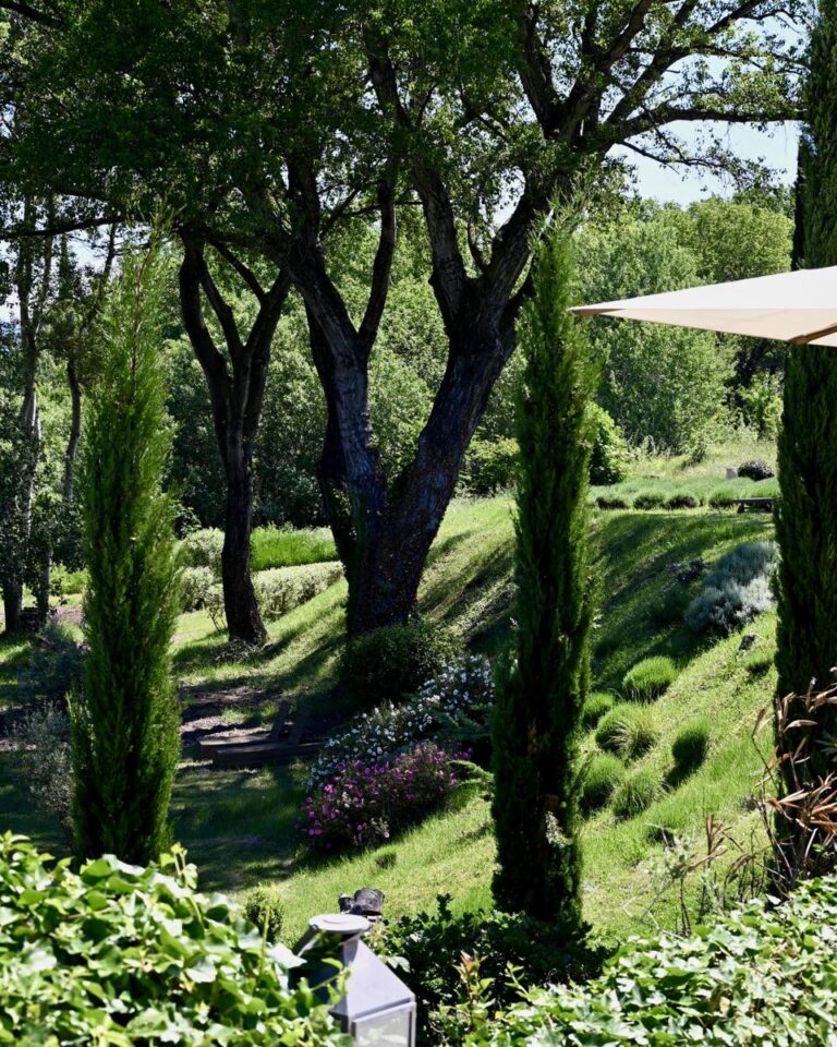 Domaine du Le Bois des Dames en Drôme provençale
