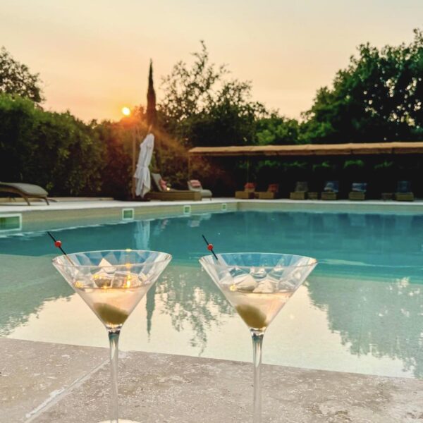 Piscine incroyable au Domaine Le Bois des Dames en Drôme provençale