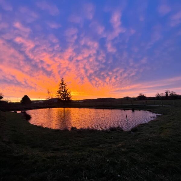 Etang de nuit du camping éco-ferme Aux Sabots de Vent dans les Ardennes (08)