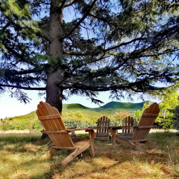 Hôtel Rose des Vents