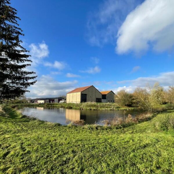 Etang du camping éco-ferme Aux Sabots de Vent dans les Ardennes (08)