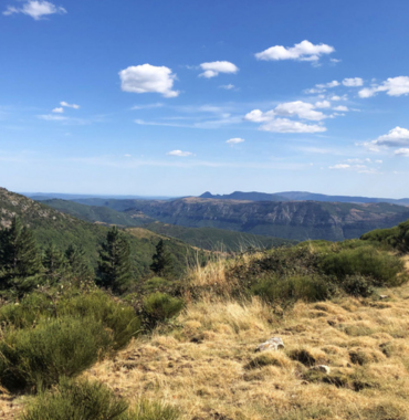 Corniche de la Vis, dans les Cévennes où les chiens sont acceptés