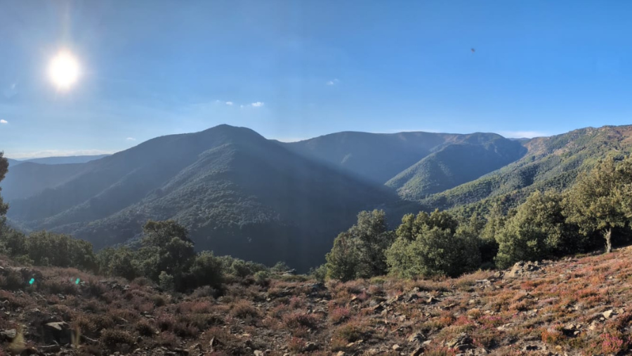 Ardèche où les chiens sont les bienvenus, en Auvergne-Rhône-Alpes