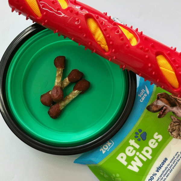 Cadeau de bienvenue pour chiens à l'hôtel de Paris Montparnasse 3* (75)