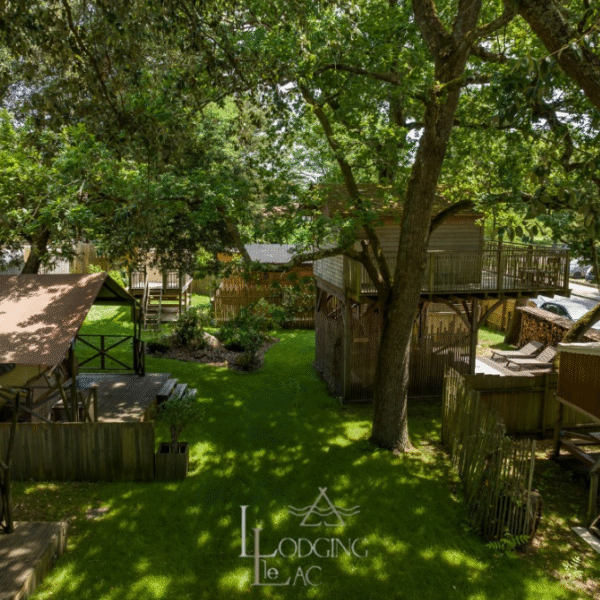 Emplacements sous les arbres au bord du lac de Lacanau en Gironde