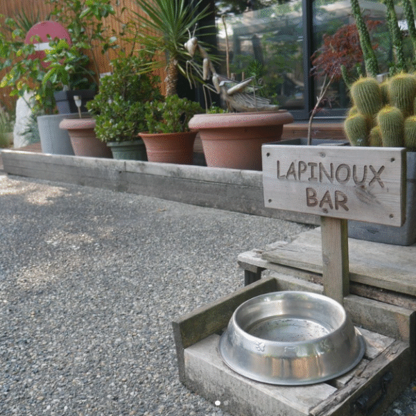 Camping autorisé aux animaux (chiens et lapins en Gironde - camping Lodging Le Lac, à Lacanau, en Gironde