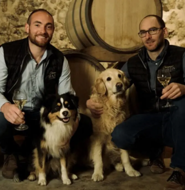 Vignerons Harlin Père et Fils en Champagne avec leurs chiens