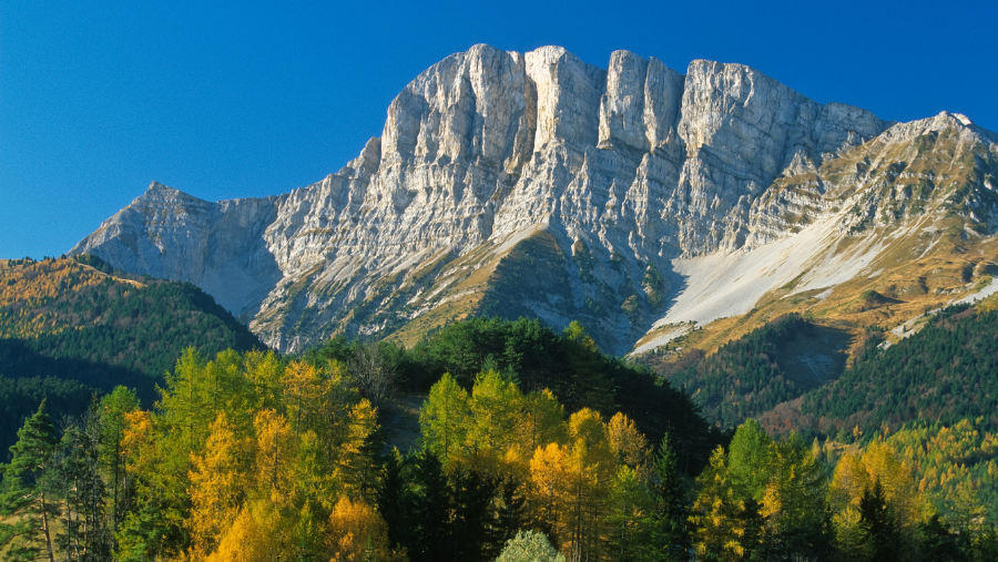 Massif du Vercors où les chiens sont les bienvenus, dans le Drôme, en Auvergne-Rhône-Alpes