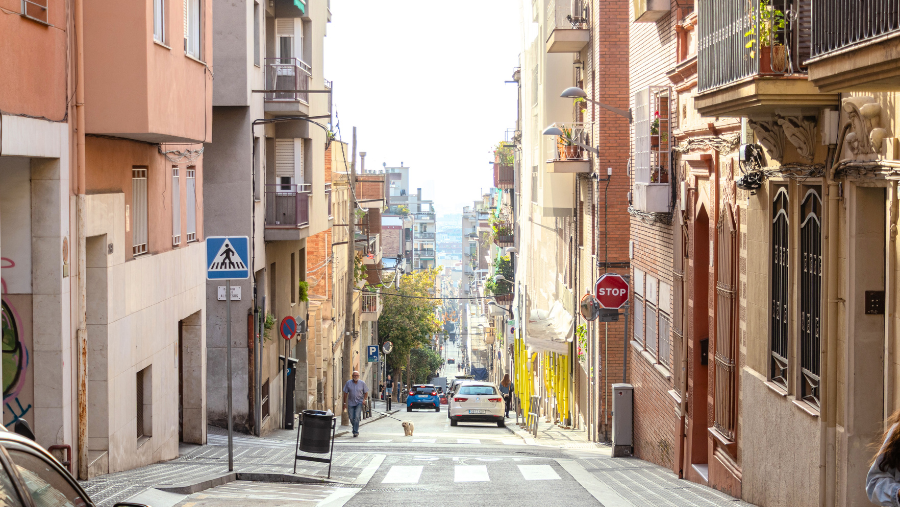 rue de Barcelone avec un voyageur et son chien et des voitures garées