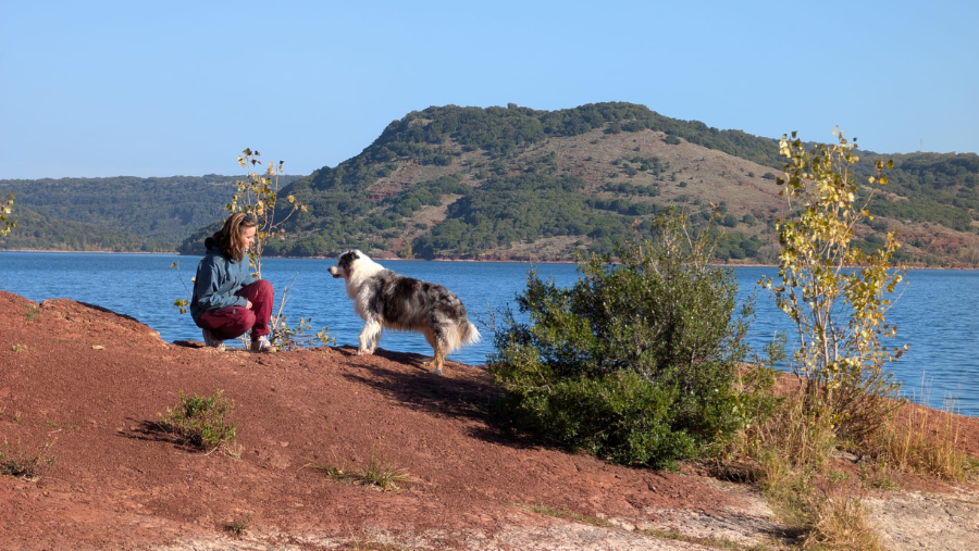 Lac du Salagou où les chiens sont les bienvenus, dans l'Hérault en Occitanie