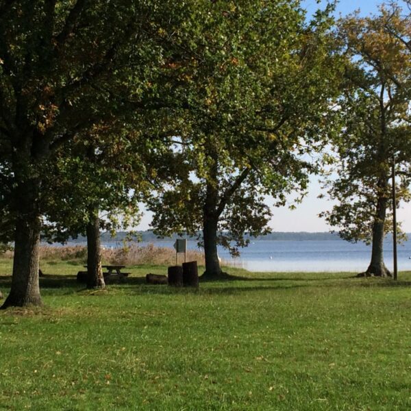 Camping avec chien au bord d'un étang - camping Lodging Le Lac, à Lacanau, en Gironde