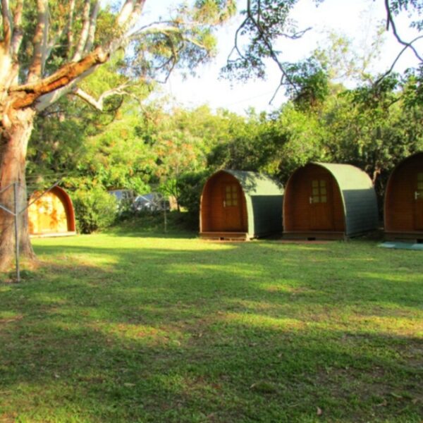 Tentes du Camping d'Olzo à Saint-Florent en Haute-Corse