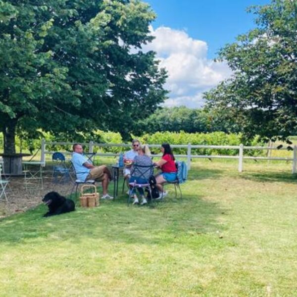Dégustation du Château de l'Aulée à Azay-Le-Rideau en Indre-et-Loire