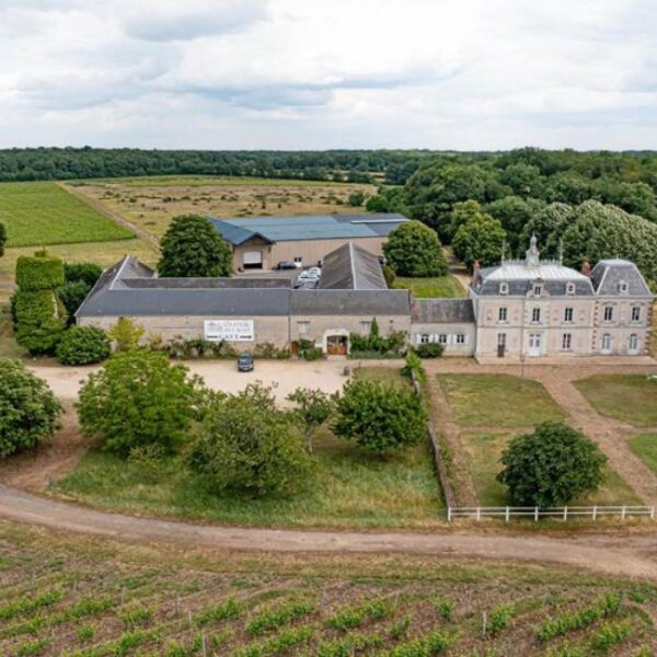 Vue aérienne du Château de l'Aulée à Azay-Le-Rideau en Indre-et-Loire