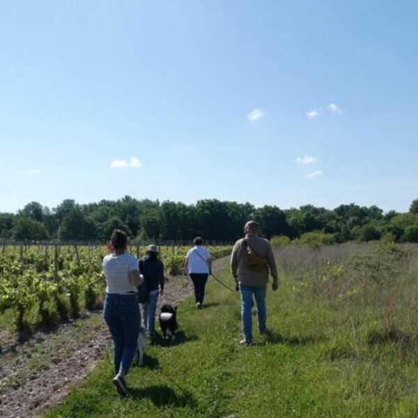 Apéro Toutou Château de l'Aulée - Azay-Le-Rideau - Indre-et-Loire - C
