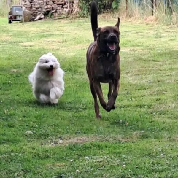 La Maison de Moustiers