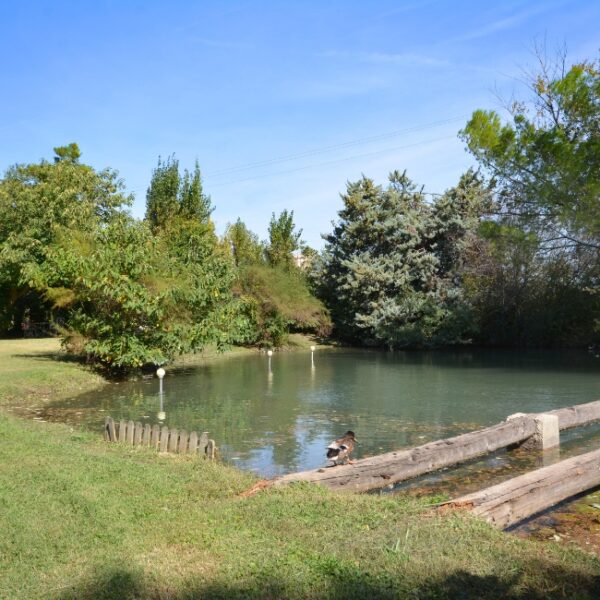 Berges du lac proche des Gîtes du Lac Arles dans les Bouches du Rhône