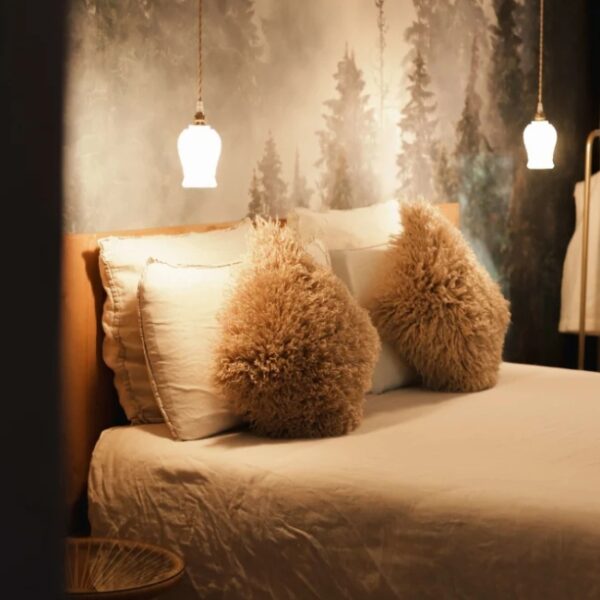 Chambre de Madame Imagine Lodges & SPA à Epinal dans les Vosges