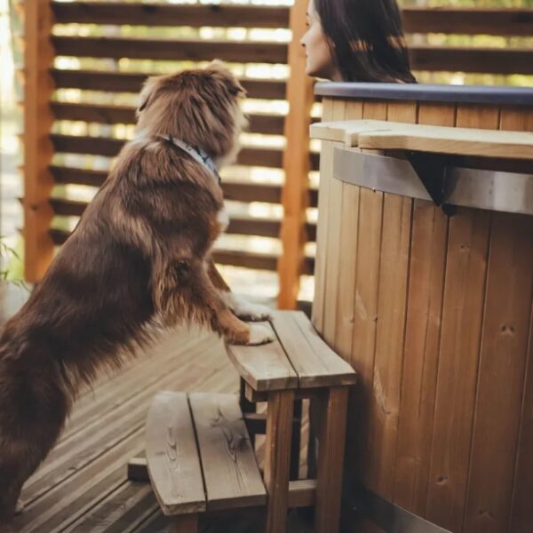 Chien au lodge Madame Imagine Lodges & SPA à Epinal dans les Vosges