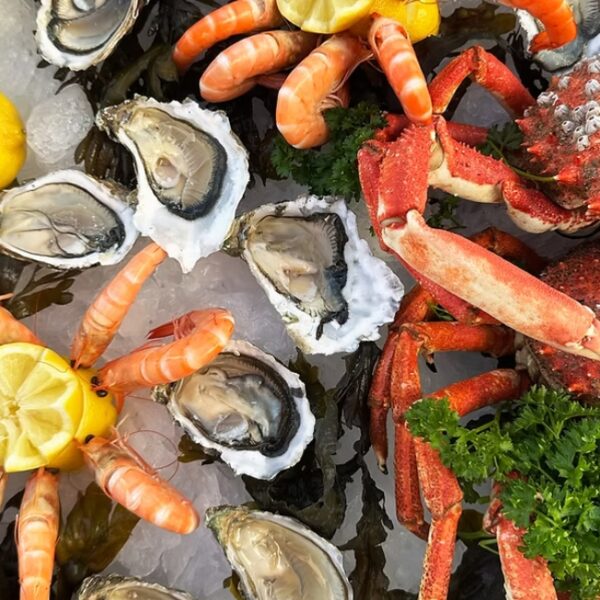 Assiettes de fruit de mer de l'Hôtel Les Sables Blancs à Concarneau dans le Finistère