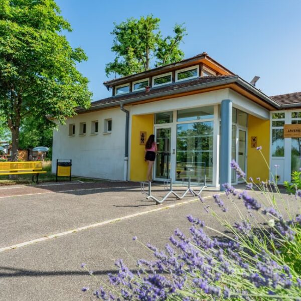Réception du camping L'Ile du Rhin près de Colmar en Alsace
