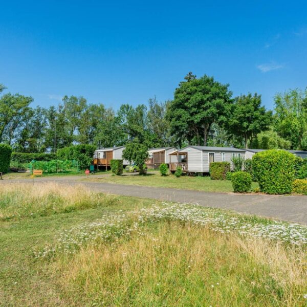 Le camping verdoyant et calme L'Ile du Rhin près de Colmar en Alsace