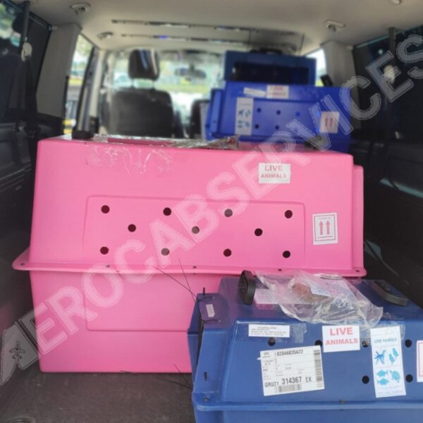 Taxi Animalier Aerocab à Nanterre en Hauts-de-Seine