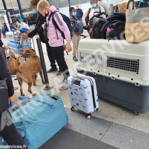 Taxi Animalier Aerocab à Nanterre en Hauts-de-Seine