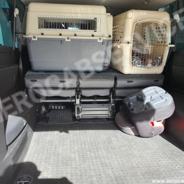 Taxi Animalier Aerocab à Nanterre en Hauts-de-Seine