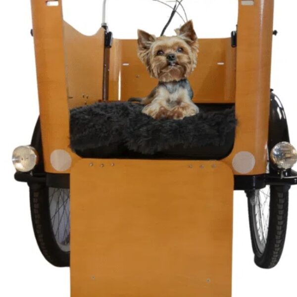 Balade avec l'Eco-Triporteur à Saint-Jorioz en Haute-Savoie