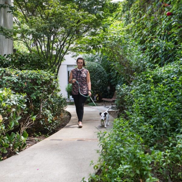 Jardin clos de l'hôtel de Paris Montparnasse 3* (75)