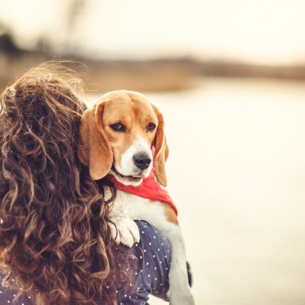 Camping Lodging Le Lac