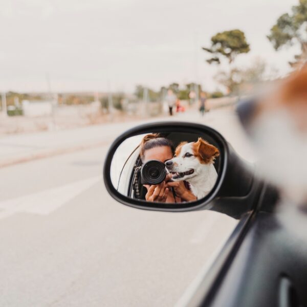 Taxi Animalier Aerocab à Nanterre en Hauts-de-Seine