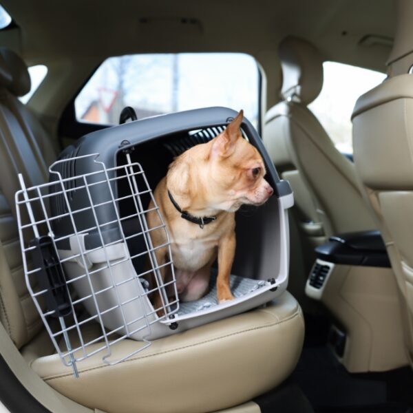 Taxi Animalier Aerocab à Nanterre en Hauts-de-Seine