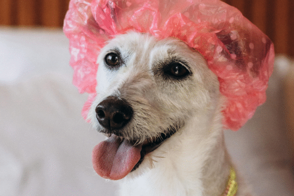 Auberge La Beursaudière