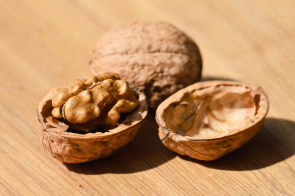 Moulin à huile de noix